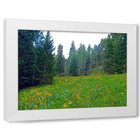Wildflower IX White Modern Wood Framed Art Print by Popcorn