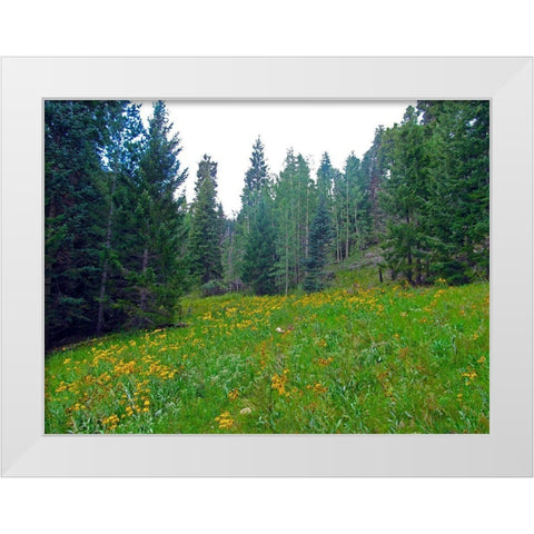 Wildflower IX White Modern Wood Framed Art Print by Popcorn