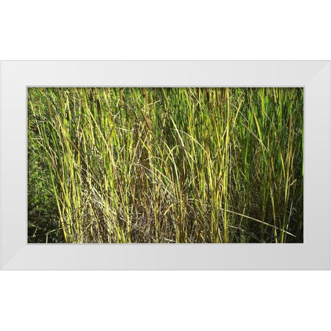Roper Lake III: Grasses II White Modern Wood Framed Art Print by Popcorn