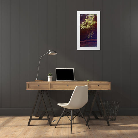 Oak Creek Canyon I White Modern Wood Framed Art Print by Popcorn