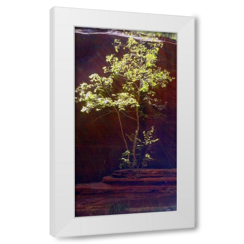 Oak Creek Canyon I White Modern Wood Framed Art Print by Popcorn