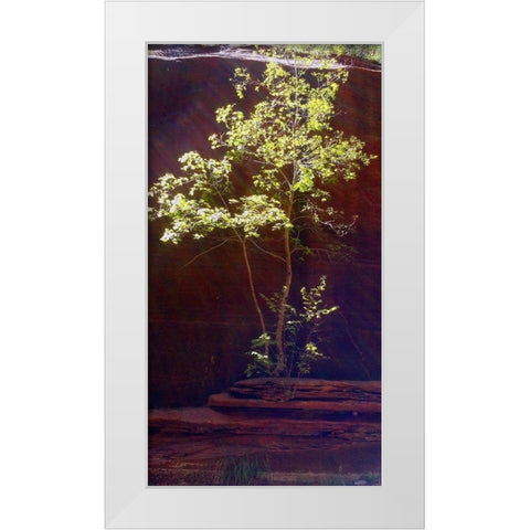 Oak Creek Canyon I White Modern Wood Framed Art Print by Popcorn