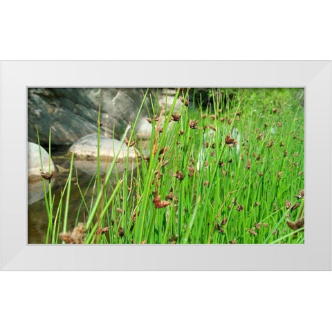 Agua Fria National Monument White Modern Wood Framed Art Print by Popcorn