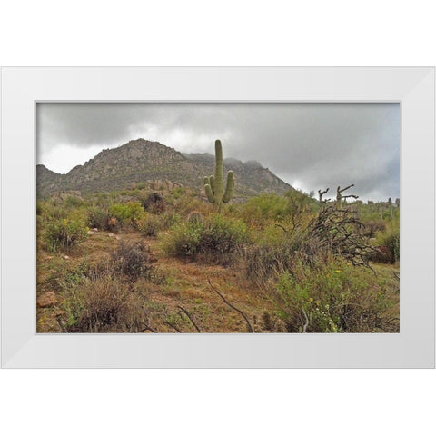 Granite Mountain II White Modern Wood Framed Art Print by Popcorn
