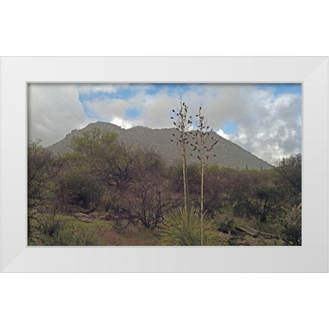 Granite Mountain III White Modern Wood Framed Art Print by Popcorn