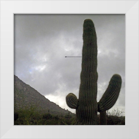 Saguaro Arrow White Modern Wood Framed Art Print by Popcorn