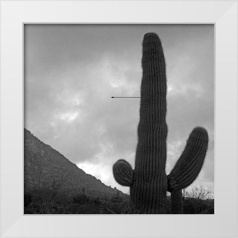 Saguaro Arrow BandW White Modern Wood Framed Art Print by Popcorn