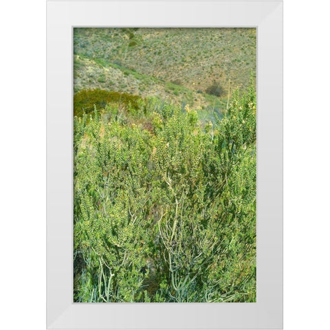 Kartchner Cavern Foothills White Modern Wood Framed Art Print by Popcorn