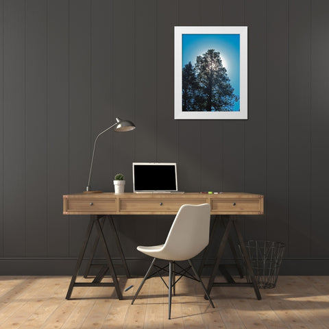 Tree 2 White Modern Wood Framed Art Print by Popcorn