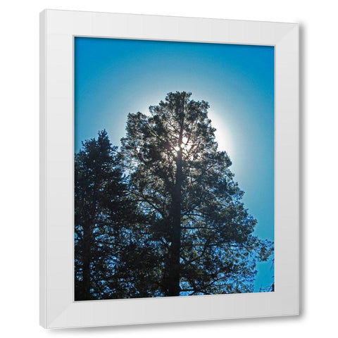 Tree 2 White Modern Wood Framed Art Print by Popcorn