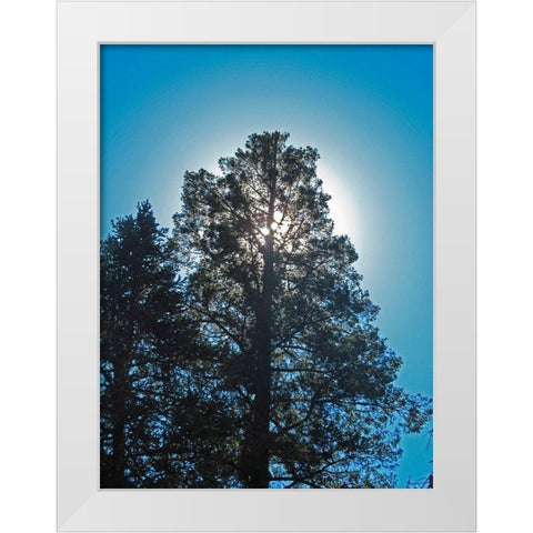 Tree 2 White Modern Wood Framed Art Print by Popcorn