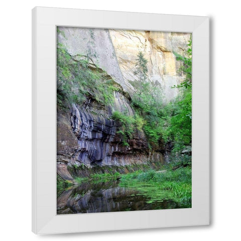 Oak Creek Canyon III White Modern Wood Framed Art Print by Popcorn