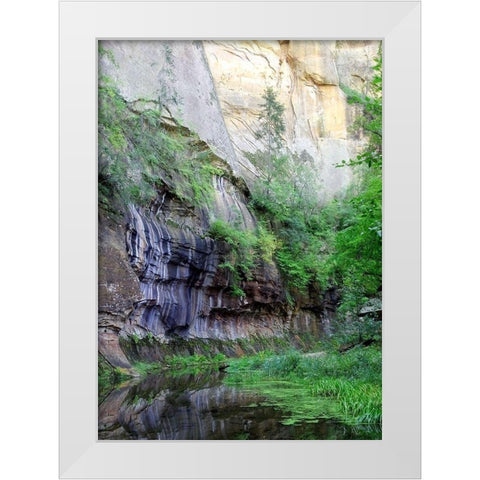 Oak Creek Canyon III White Modern Wood Framed Art Print by Popcorn