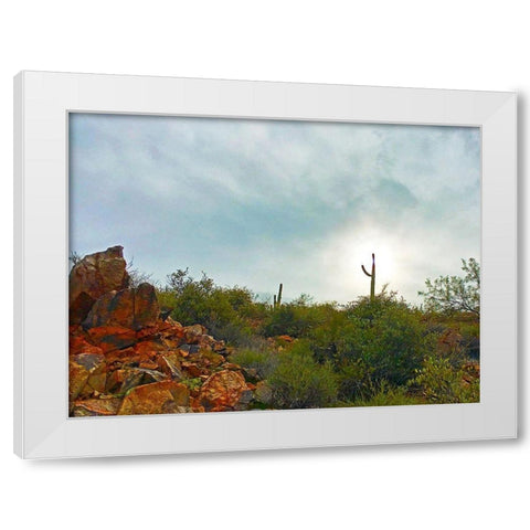 Desert Scape 14 White Modern Wood Framed Art Print by Tenoever, William