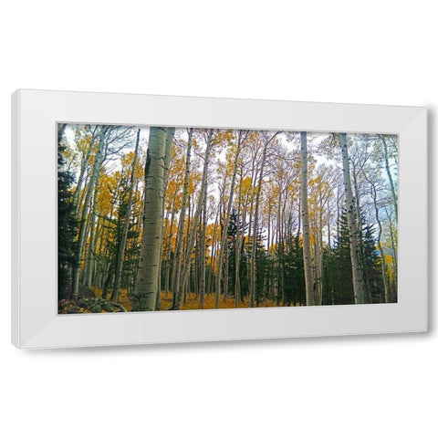 Aspens in Fall I White Modern Wood Framed Art Print by Tenoever, William