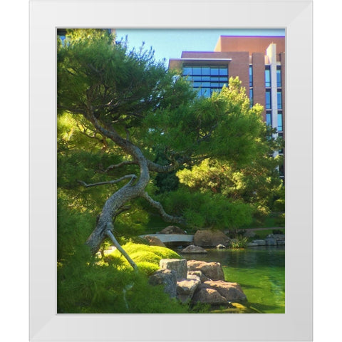 Japanese Friendship Garden I White Modern Wood Framed Art Print by Tenoever, William