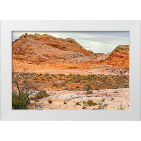 ValleyOfFire:BigHornSheep1 White Modern Wood Framed Art Print by Tenoever, William