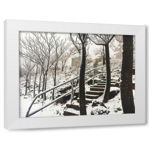 Jerome Snowy Stairs I White Modern Wood Framed Art Print by Popcorn