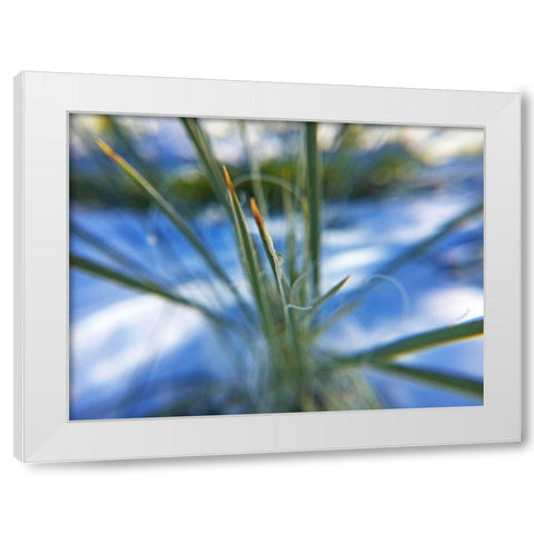 Snow in the Desert White Modern Wood Framed Art Print by Popcorn