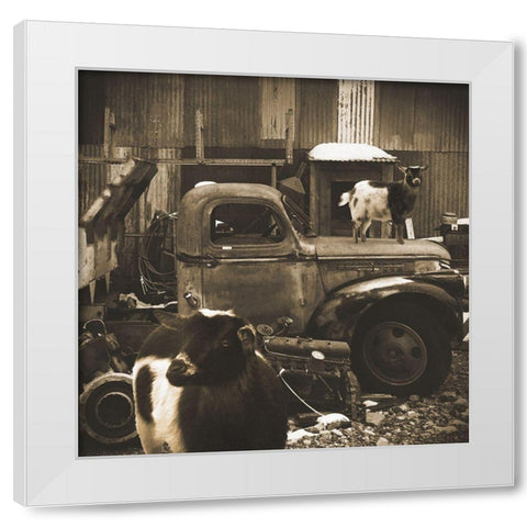 Junkyard D2: Sepia Goats White Modern Wood Framed Art Print by Popcorn