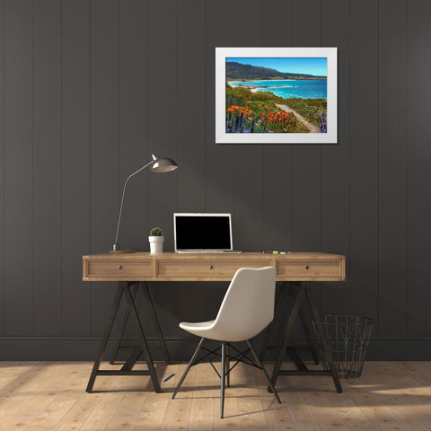 Coastal Inlet I White Modern Wood Framed Art Print by Tienhaara, Michael