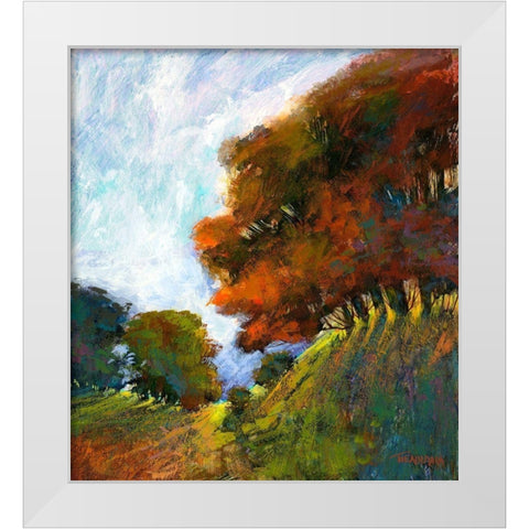 Falls Romance IV White Modern Wood Framed Art Print by Tienhaara, Michael
