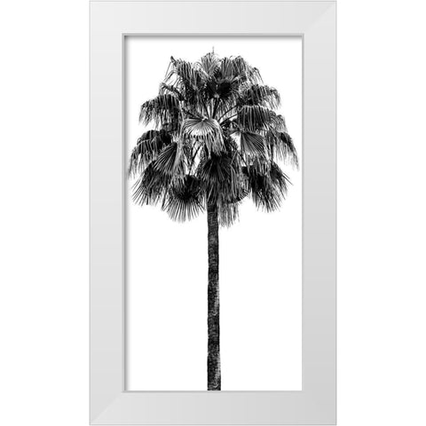 Palm Tree IV White Modern Wood Framed Art Print by Blake, Madeline