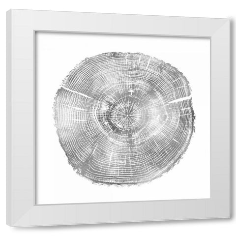 Timber Silver IV White Modern Wood Framed Art Print by Carson, Danielle