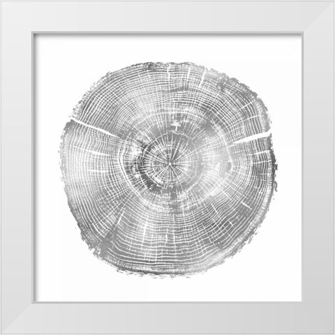 Timber Silver IV White Modern Wood Framed Art Print by Carson, Danielle
