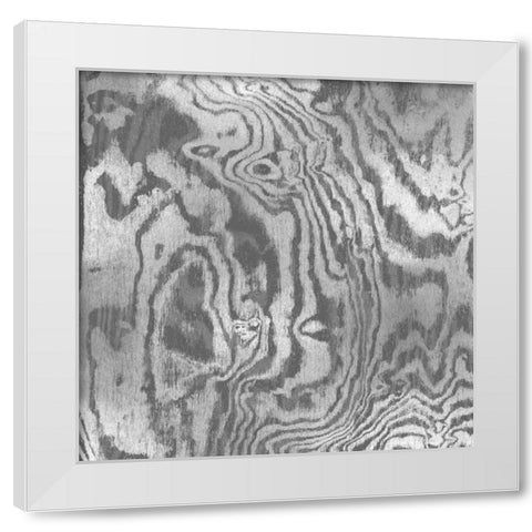 Silver Variations I White Modern Wood Framed Art Print by Carson, Danielle