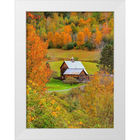 Sleephollow White Modern Wood Framed Art Print by Sproul, Dan