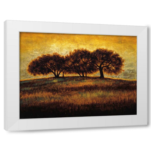 Rising I White Modern Wood Framed Art Print by Williams, Gregory