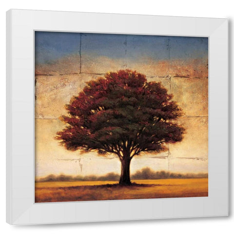 Splendor I White Modern Wood Framed Art Print by Williams, Gregory