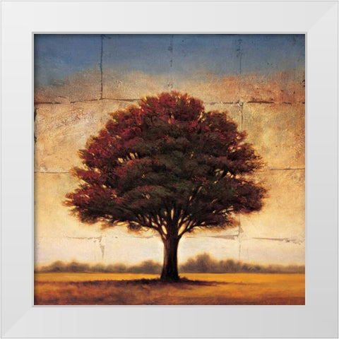 Splendor I White Modern Wood Framed Art Print by Williams, Gregory