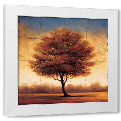 Splendor II White Modern Wood Framed Art Print by Williams, Gregory