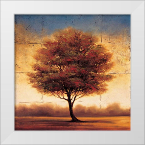 Splendor II White Modern Wood Framed Art Print by Williams, Gregory