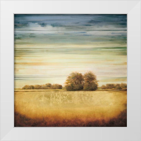 Lucent II White Modern Wood Framed Art Print by Williams, Gregory