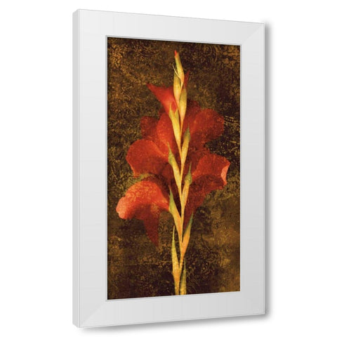 Gladiola White Modern Wood Framed Art Print by Seba, John