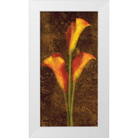 Callas White Modern Wood Framed Art Print by Seba, John
