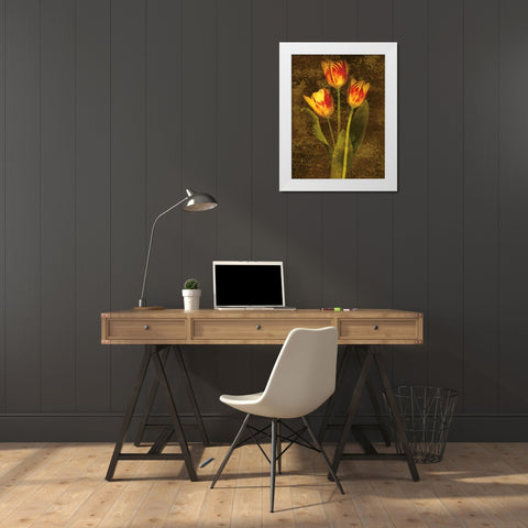 Three Tulips White Modern Wood Framed Art Print by Seba, John