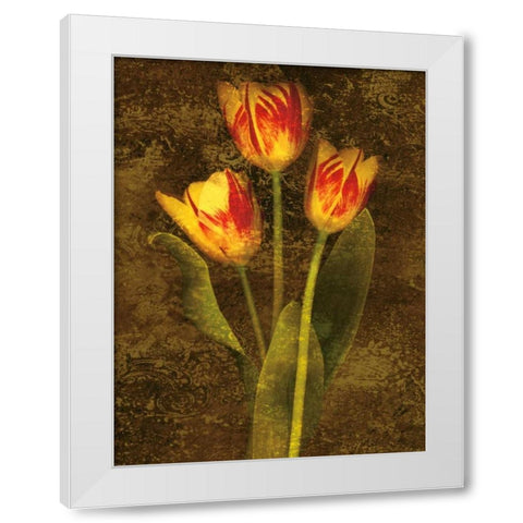 Three Tulips White Modern Wood Framed Art Print by Seba, John