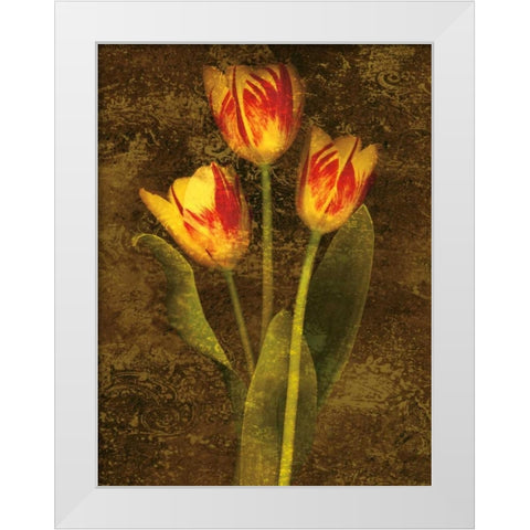 Three Tulips White Modern Wood Framed Art Print by Seba, John