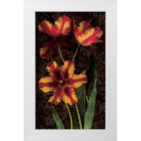 Decorative Tulips I White Modern Wood Framed Art Print by Seba, John
