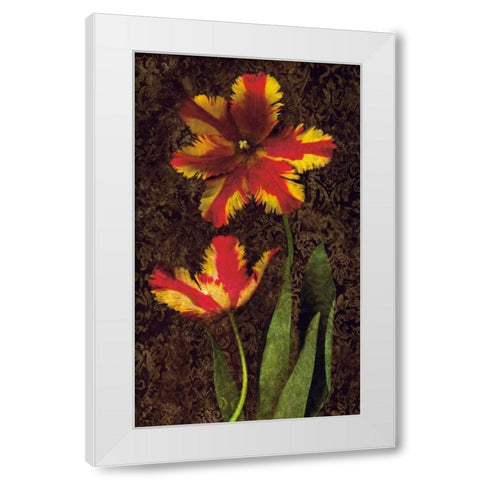 Decorative Tulips II White Modern Wood Framed Art Print by Seba, John