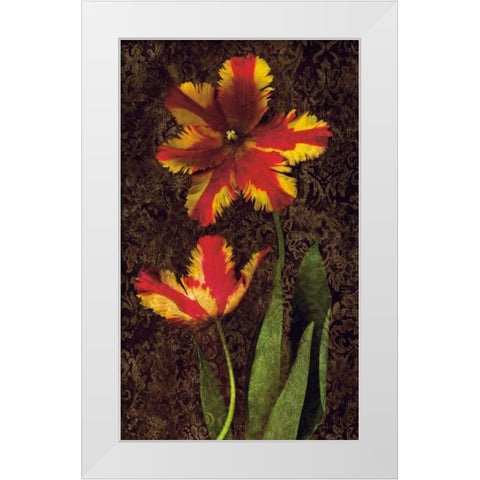 Decorative Tulips II White Modern Wood Framed Art Print by Seba, John