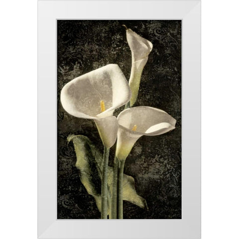 Callas I White Modern Wood Framed Art Print by Seba, John