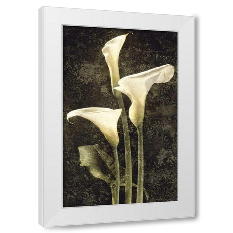Callas II White Modern Wood Framed Art Print by Seba, John