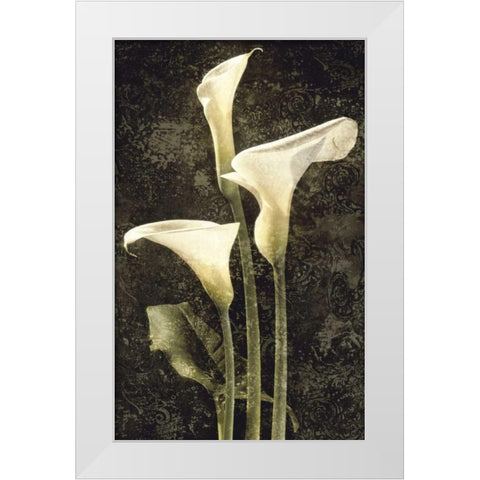Callas II White Modern Wood Framed Art Print by Seba, John