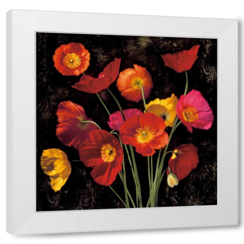 Poppy Bouquet II White Modern Wood Framed Art Print by Seba, John