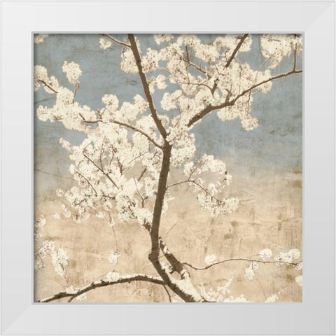 Cherry Blossoms I White Modern Wood Framed Art Print by Seba, John